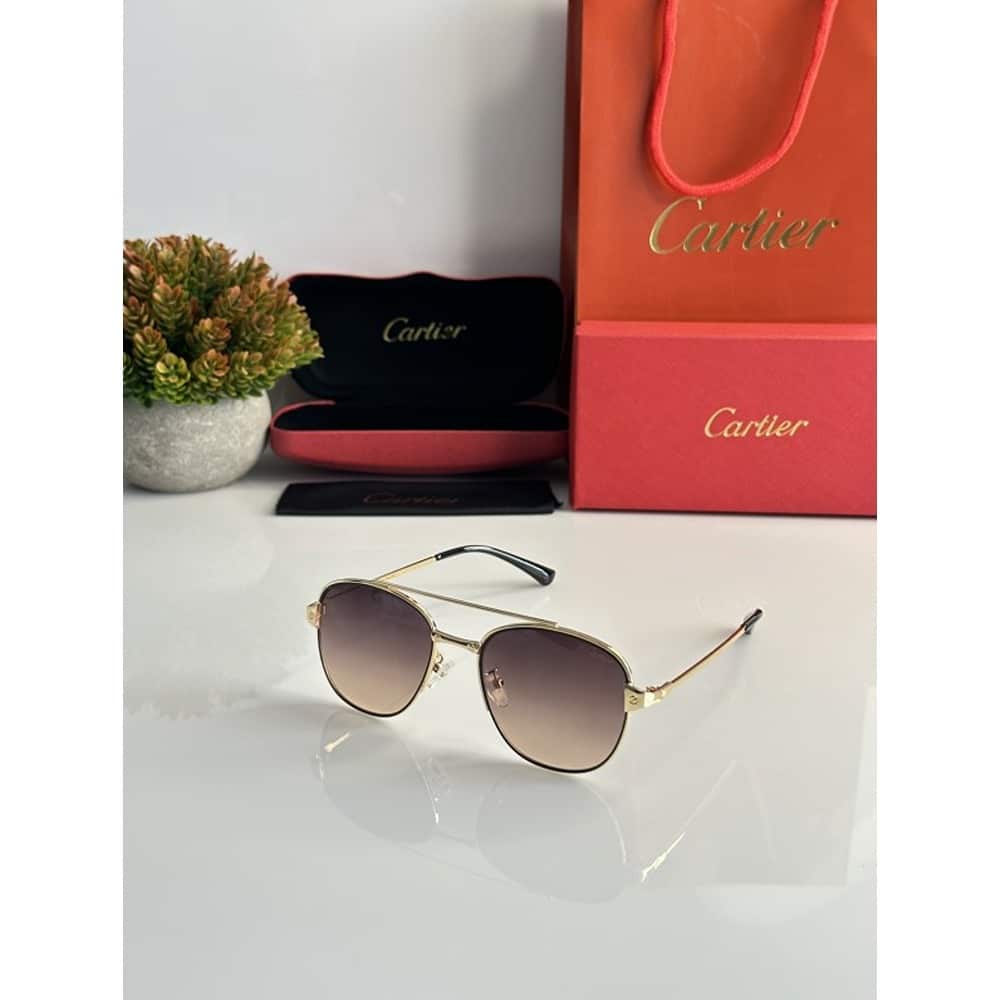 Cartier-Sunglasses-For-Men-Gold-Brown-7.jpg